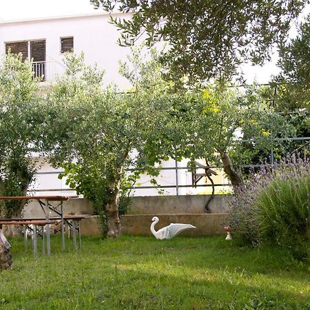 Pepi Apartments 1 Zadar Ngoại thất bức ảnh